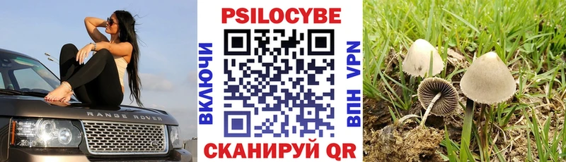 mega как зайти  Белая Калитва  Галлюциногенные грибы Psilocybe 